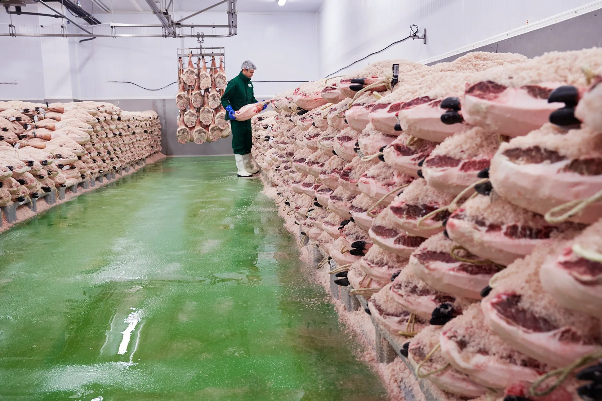 Fase de salazón de los jamones Montaraz con sal marina Fase de salazón de los jamones Montaraz con sal marina