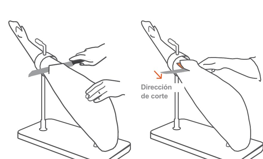 Preparación para el corte: corte profundo hasta el hueso y retirada de la corteza